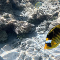 фото из отзыва ID 2709933