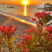 фото из отзыва ID 2709938