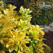 фото из отзыва ID 2709970
