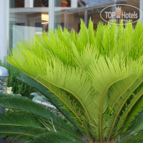 фото из отзыва ID 2709970