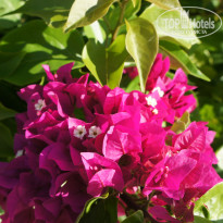 фото из отзыва ID 2709970