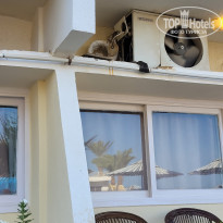 фото из отзыва ID 2709566