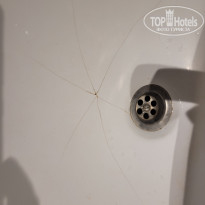 фото из отзыва ID 2709566