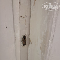 фото из отзыва ID 2709566