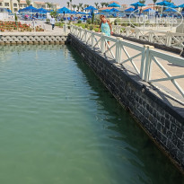 фото из отзыва ID 2704897