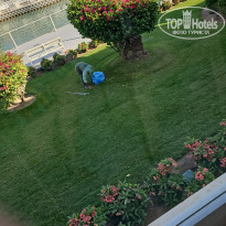 фото из отзыва ID 2704897