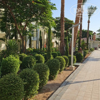 фото из отзыва ID 2704897