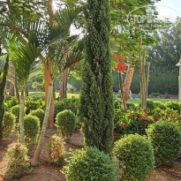 фото из отзыва ID 2704897