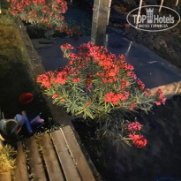 фото из отзыва ID 2700064