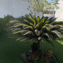 фото из отзыва ID 2710014