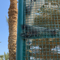 фото из отзыва ID 2710039