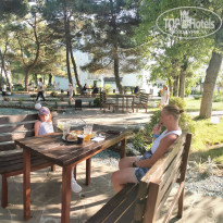 фото из отзыва ID 2710180