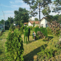 фото из отзыва ID 2710180