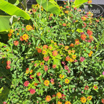 фото из отзыва ID 2710263