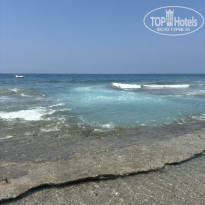 фото из отзыва ID 2710296