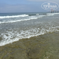 фото из отзыва ID 2710296