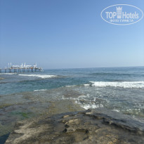 фото из отзыва ID 2710296