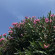 фото из отзыва ID 2710312