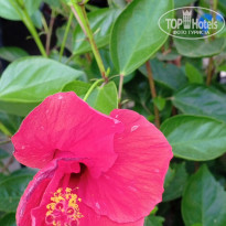 фото из отзыва ID 2710392