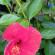 фото из отзыва ID 2710392