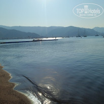 фото из отзыва ID 2710492