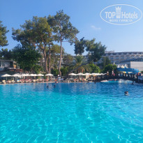 фото из отзыва ID 2710535