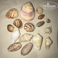 фото из отзыва ID 2710568