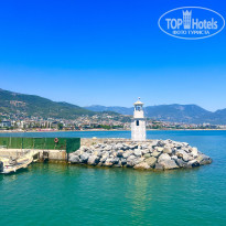 фото из отзыва ID 2710098