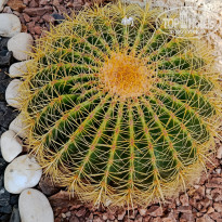 фото из отзыва ID 2710587