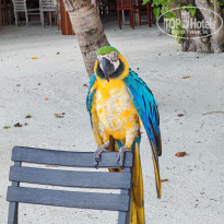 фото из отзыва ID 2710609