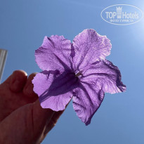 фото из отзыва ID 2710811