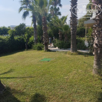 фото из отзыва ID 2710832