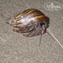 фото из отзыва ID 2710859