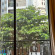 Palazzo Luxury Hotel