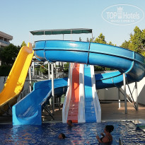 фото из отзыва ID 2711019