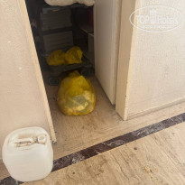 фото из отзыва ID 2711070