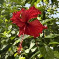 фото из отзыва ID 2711461