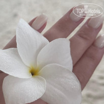 фото из отзыва ID 2711461