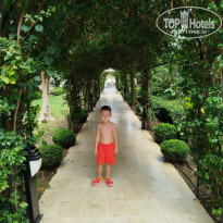 фото из отзыва ID 2711493