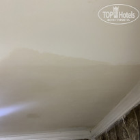 фото из отзыва ID 2711666