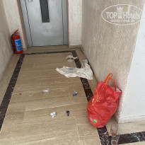 фото из отзыва ID 2711666