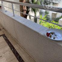 фото из отзыва ID 2711666