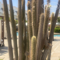 фото из отзыва ID 2711787