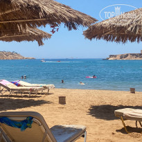 фото из отзыва ID 2711787