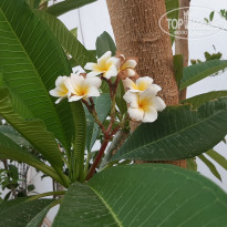 фото из отзыва ID 2711946