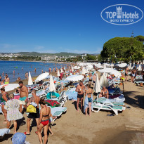 фото из отзыва ID 2712011