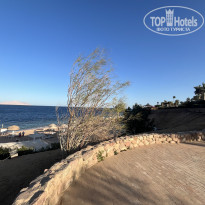 фото из отзыва ID 2712066