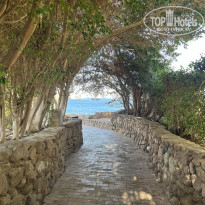 фото из отзыва ID 2712066