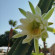 фото из отзыва ID 2712205