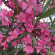 фото из отзыва ID 2712236